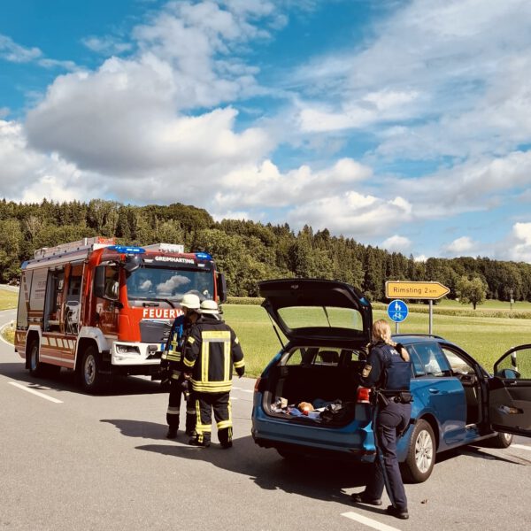 THL1: Verkehrsunfall mit PKW