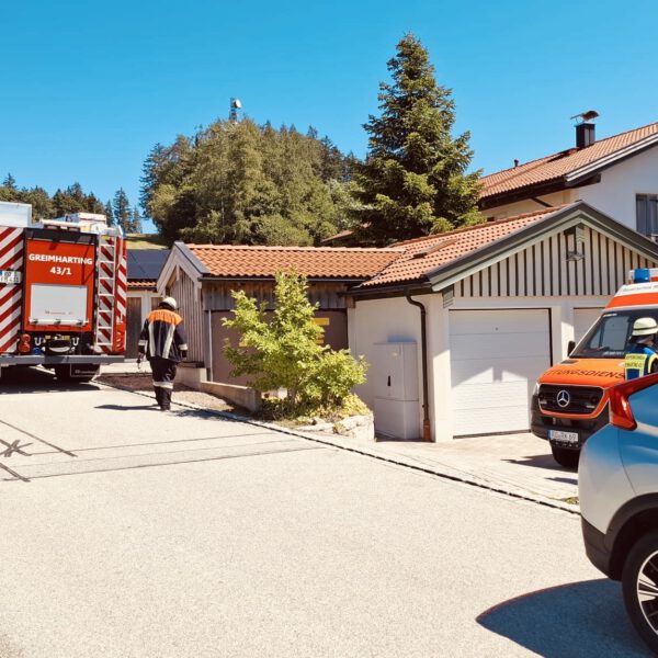 THL2: VU eCall – ohne Spracherwiderung
