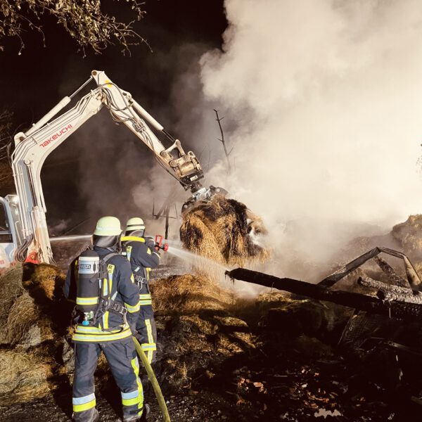 B Wald: Brand im Freien Wald groß (>1000qm)